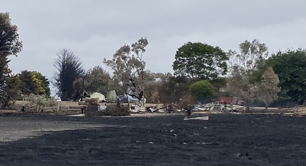 image_50366209 Bushfire