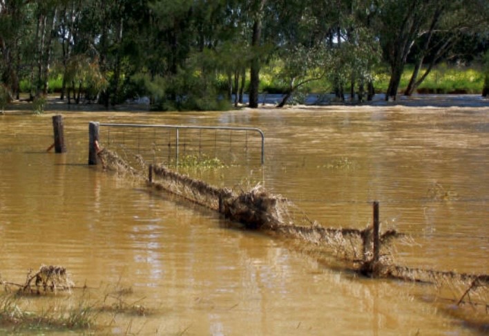 flooded farm flooded farm